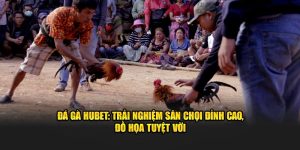 đá gà hubet