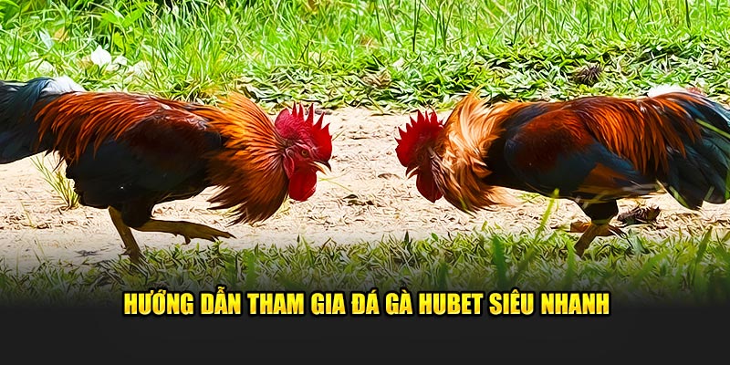 Các nhà phát hành tại đá gà hubet