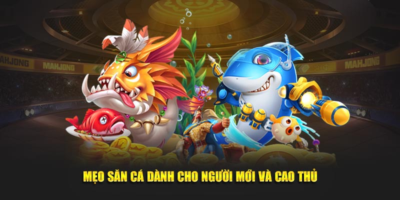 Mẹo chơi cực đỉnh cho hội viên bắn cá hubet