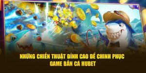 Bắn cá hubet